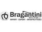 bragantini1.jpg
