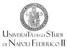 universita-studi-napoli.jpg